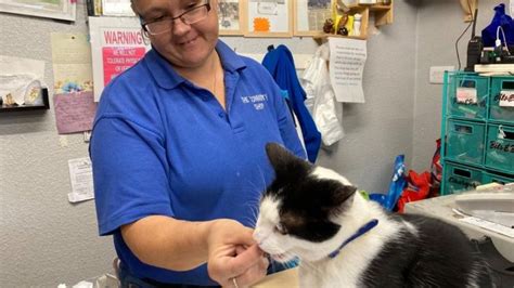 fairstead community shop|King's Lynn falls for 'Dave the Community Cat' .